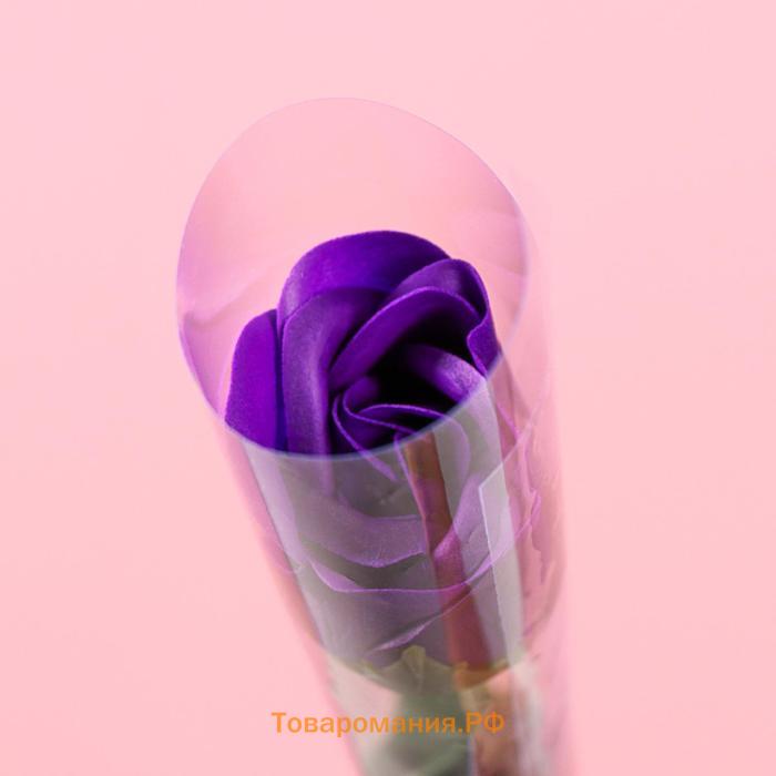 Мыльная роза, фиолетовая