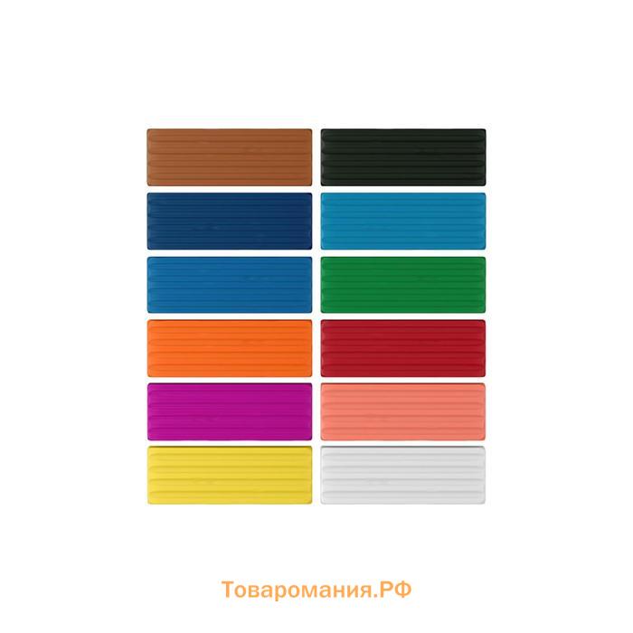 Пластилин 12 цветов 192 г Erich Krause, европодвес, экономичная упаковка