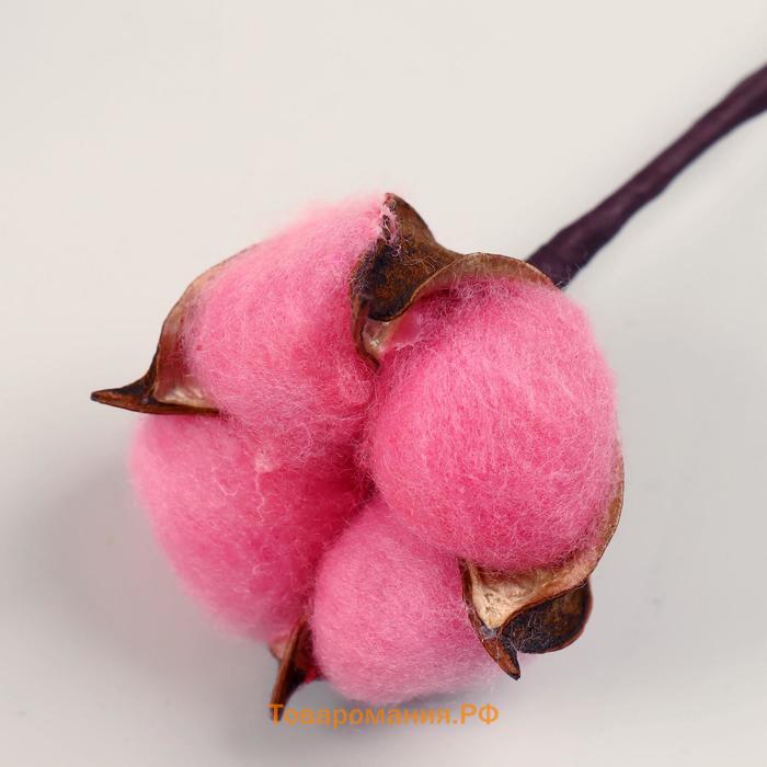 Декор сухоцвет "Хлопок" d-5 см, 30 см, розовый