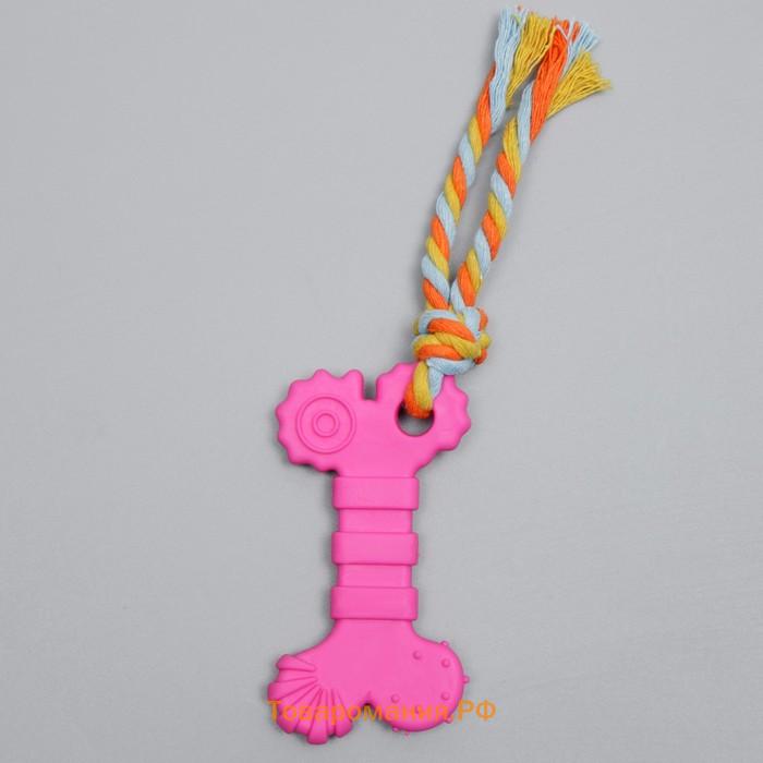 Игрушка жевательная с канатом "Кость с хвостом", розовая