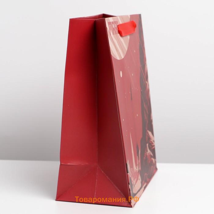 Пакет подарочный ламинированный вертикальный, упаковка, «Mars», ML 23 х 27 х 11,5 см