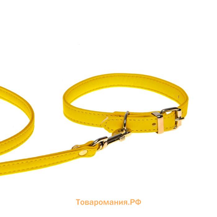 Комплект ошейник (26-34х1.4 см) и поводок (120х1 см) из экокожи, жёлтый