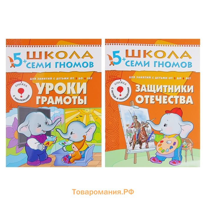 Полный годовой курс от 5 до 6 лет. 12 книг с играми и наклейками. Денисова Д.