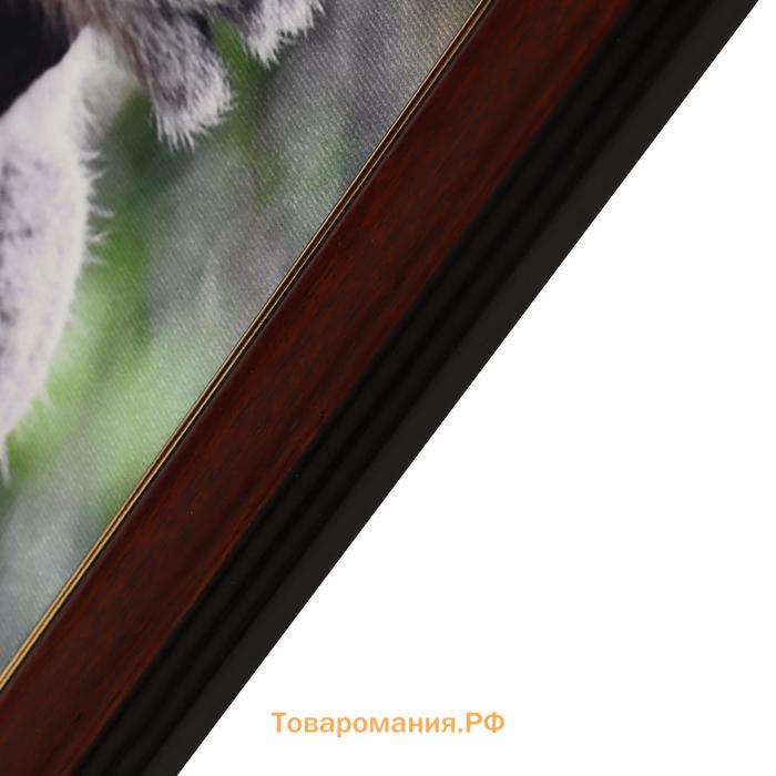 Картина велюр "Сумчатый медведь" 46х46 см