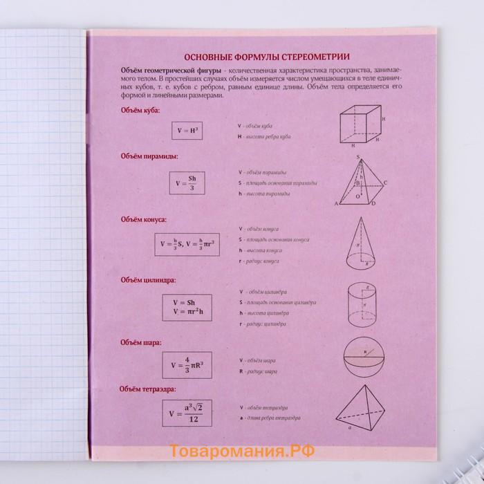 Тетрадь предметная 48 листов, А5, УВЕДОМЛЕНИЯ, со справ. мат. «Геометрия», обложка мелованный картон 230 г внутренний блок в клетку белизна 96%