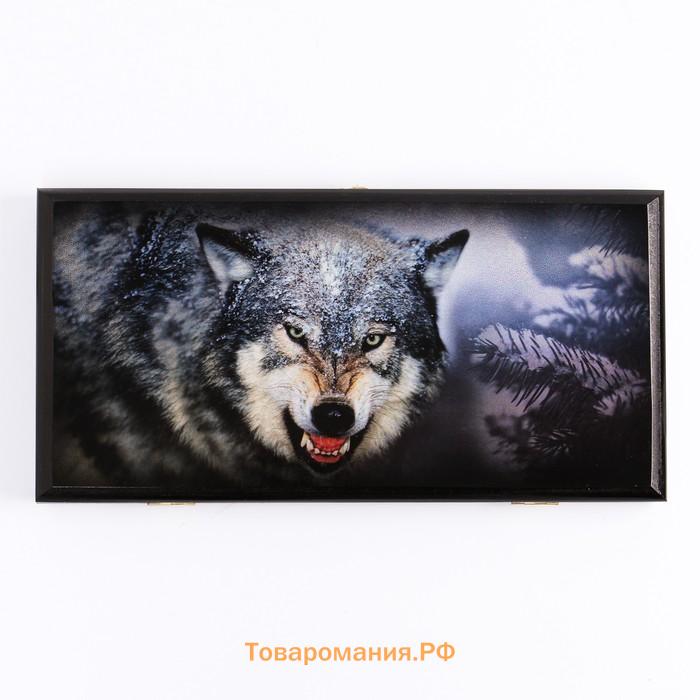 Нарды деревянные большие, настольная игра "Волчий оскал", 40 x 40 см, с шашками