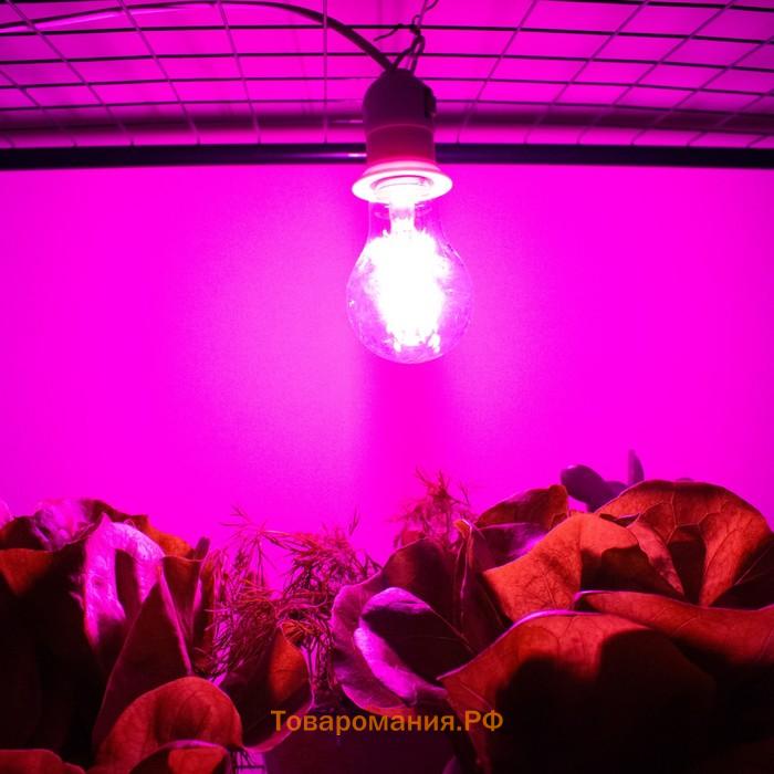 Фитолампа светодиодная, для растений, А60, 8 Вт, 360°, филаментная
