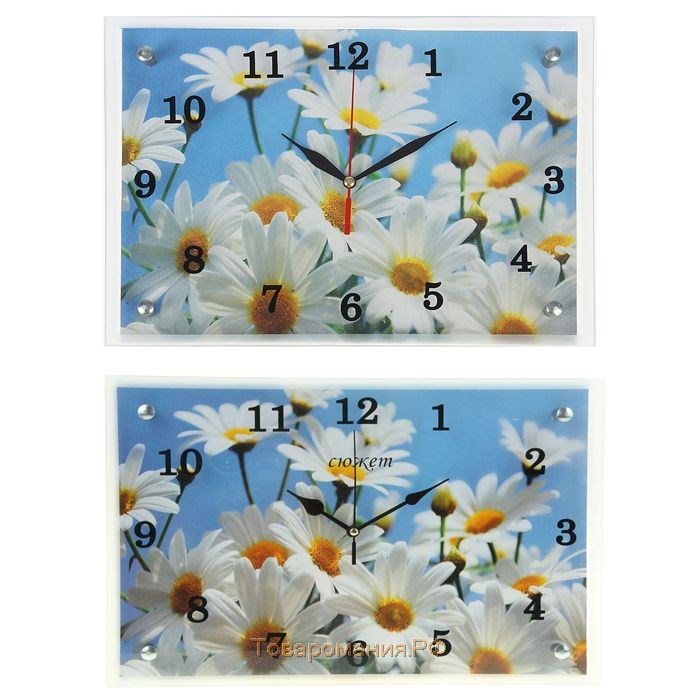 Часы-картина настенные, серия: Цветы, "Ромашки", 25х35  см