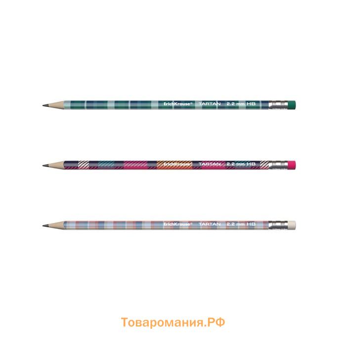 Карандаш чернографитный с ластиком ErichKrause "Tartan", HB, грифель d=2.2 мм, дерево, трeхгранный с принтом, в тубусе, микс