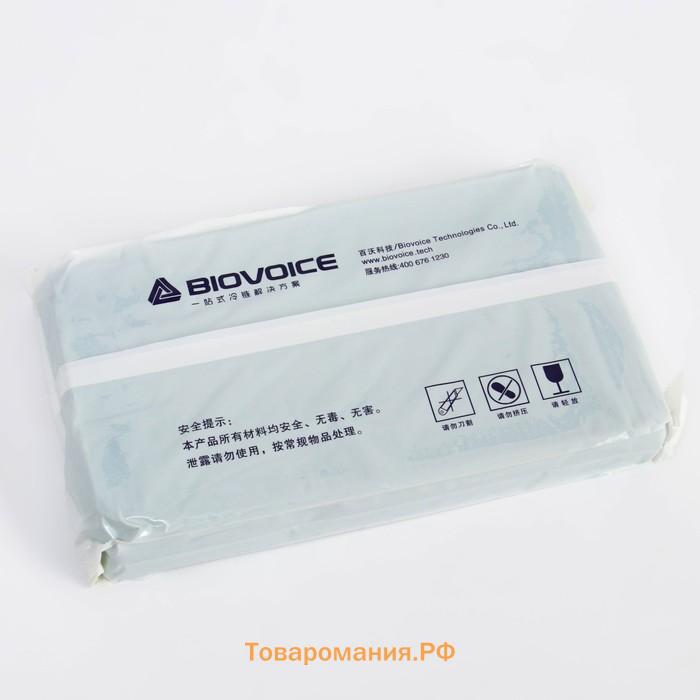 Аккумулятор холода Biovoice BVR-20M, 800 мл, 24 х 14.5 х 3.5 см