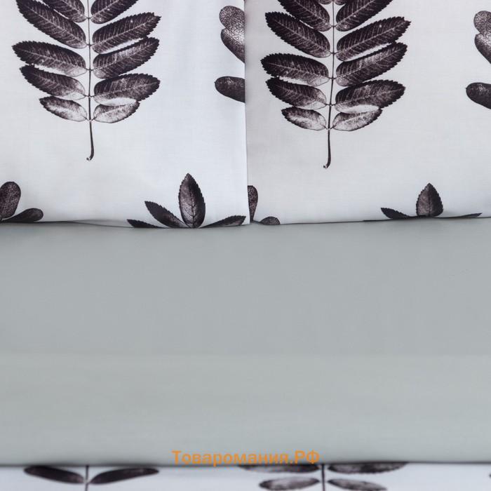 Постельное бельё "" дуэт Natural print 143х215 см - 2 шт, 220х240 см, 50х70 см -2 шт, мако-сатин