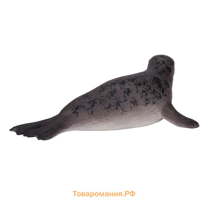 Фигурка Konik «Длинномордый тюлень»