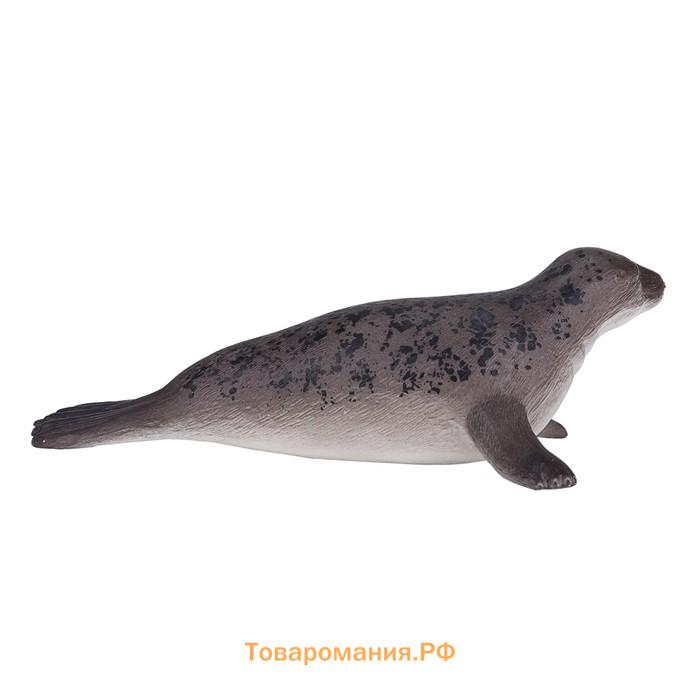 Фигурка Konik «Длинномордый тюлень»