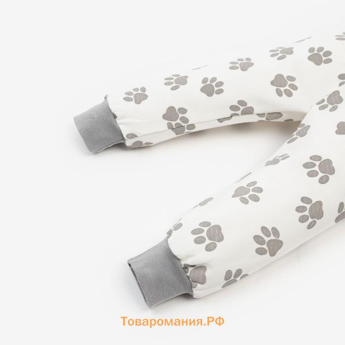 Ползунки (штанишки) детские «Лапки», цвет белый/серый, рост 80 см