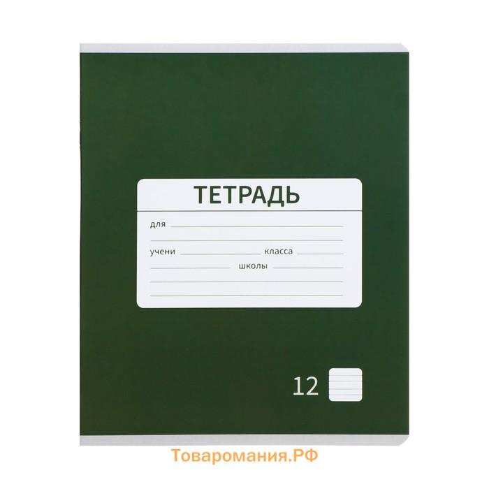 Набор тетрадей 12 листов в узкую линейку Calligrata "Однотонная Новая школьная. Эконом", обложка мелованная бумага, ВД-лак, блок №2, белизна 75% (серы...