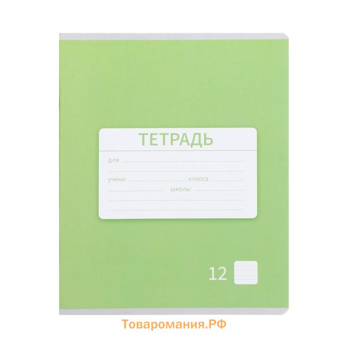 Набор тетрадей 12 листов в узкую линейку Calligrata "Однотонная Новая школьная. Эконом", обложка мелованная бумага, ВД-лак, блок №2, белизна 75% (серы...