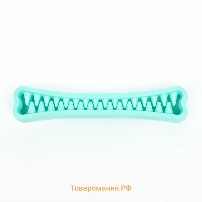 Игрушка-зубочистка для собак Пижон Premium "Зубастик", 18,3 х 3,8 см, мятная