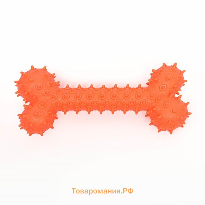 Игрушка-зубочистка для собак Пижон Premium "Кость", 15 х 5,5 см, оранжевая