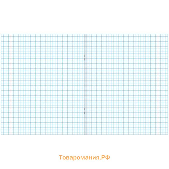 Тетрадь 12 листов в клетку «Зелёная обложка», бумажная обложка 60 г/м², белые листы