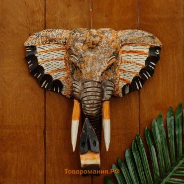 Сувенир дерево "Голова слона" 30 см
