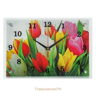 Часы-картина настенные, серия: Цветы, "Разноцветные тюльпаны", 25х35 см