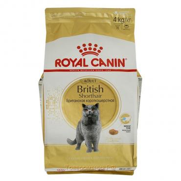 Сухой корм RC British Shorthair для британских кошек, 4 кг