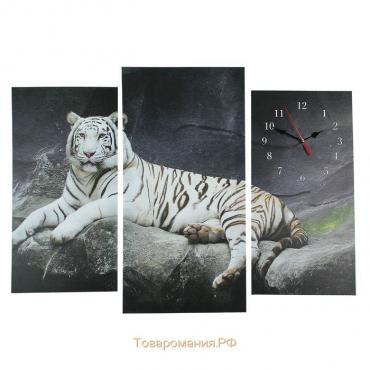Часы настенные, модульные, серия: Животный мир, "Белый тигр", 60х80 см