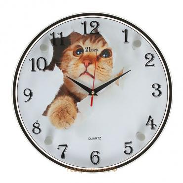 Часы настенные, интерьерные: Животный мир, "Кот", d-30 см, бесшумные