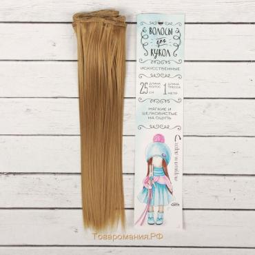 Волосы - тресс для кукол «Прямые» длина волос: 25 см, ширина:100 см, цвет № 22Т