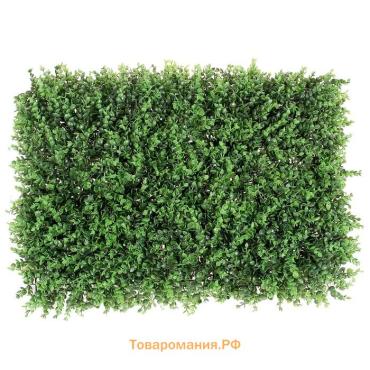Декоративная панель, 60×40 см, «Самшит», Greengo
