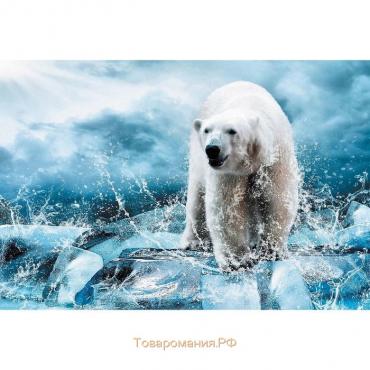 Фотообои "Медведь во льдах" M 606 (2 полотна), 200х135 см