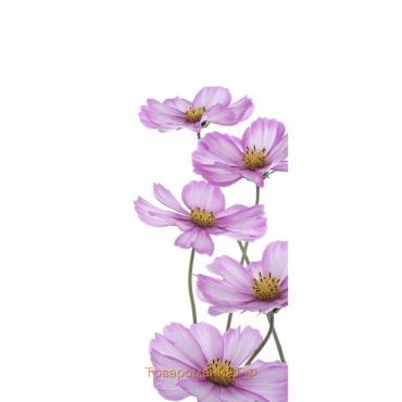 Фотообои "Сиреневые цветы" С-056 (1 полотно), 95x220 см