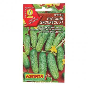 Семена Огурец "Русский экспресс" F1, среднеранний, пчелоопыляемый,  10 шт.
