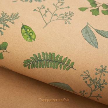 Бумага крафт «Зелёная ботаника», 50 х 70 см