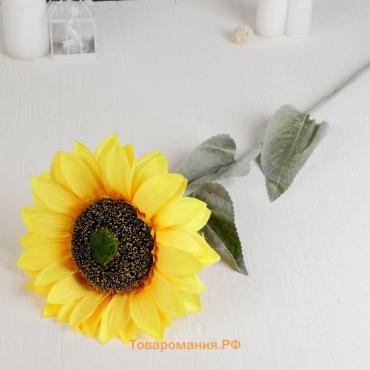 Цветы искусственные «Подсолнух», 26×100 см