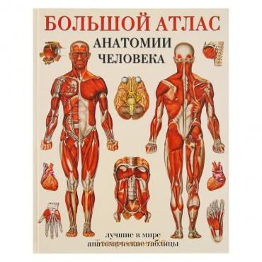 Большой атлас анатомии человека. Махиянова Е.Б.
