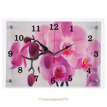 Часы настенные, серия: Цветы, "Орхидея",  25х35 см
