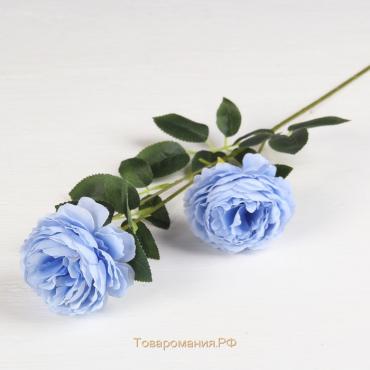 Цветы искусственные "Роза терция" 8х60 см, голубой микс
