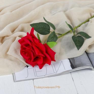 Цветы искусственные "Роза Гран При" 7х46 см, красный