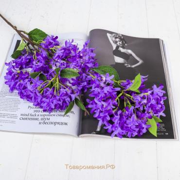 Цветы искусственные "Сирень пышная" 3х95 см, голубой