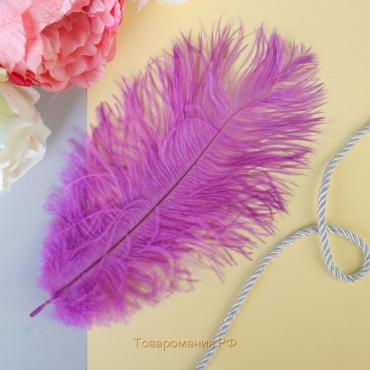 Перо для декора, размер 24 см, цвет фиолетовый