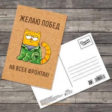 Почтовая карточка «С 23 февраля», котик, 10 × 15 см