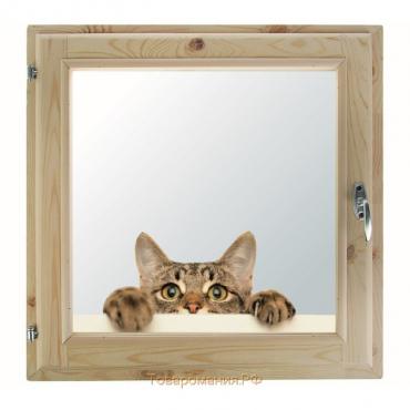 Окно, 50×50см, "Кошак", однокамерный стеклопакет