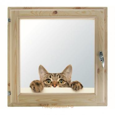Окно 60х70 см, "Кошак", однокамерный стеклопакет, уплотнитель, хвоя