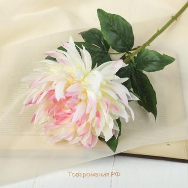 Цветок искусственный "Астра Валькирия" 10*69 см, бело розовый