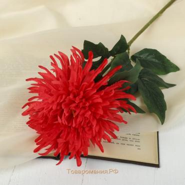 Цветок искусственный "Астра Страусово перо" 10*69 см, красный