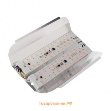 Фитопрожектор для растений Lighting СДО09-100, светодиодный, 100 Вт, IP65, 220 В, бескорпусный, мультиспектральный