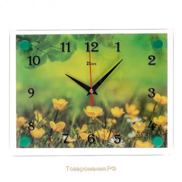 Часы-картина настенные, серия: Цветы, "Лето", 20х26 см