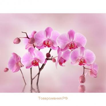 Фотообои Moda Interio, Flizelini F3015-4 Розовая орхидея (4 полотна), 3,6*2,7м