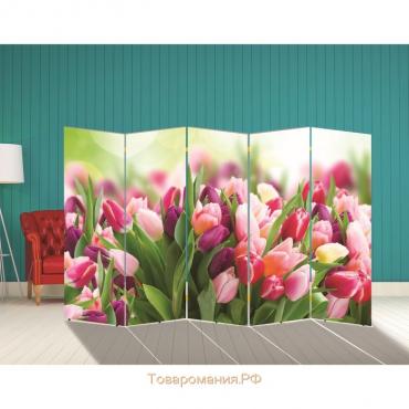 Ширма "Тюльпаны. декор 8" 250 × 160 см